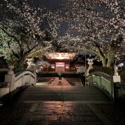 GWご予約状況